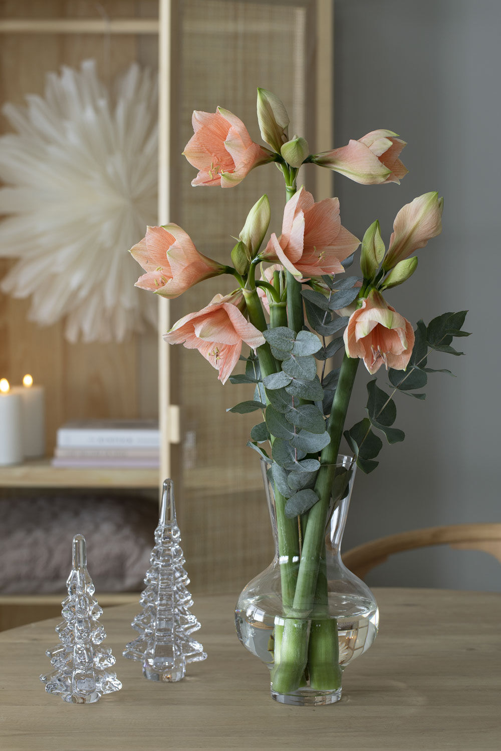 amaryllis ferskefarget amaryllis ferskefarget